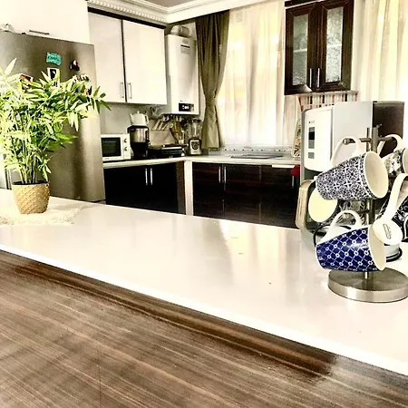 Ahmet Teacher Hotel, 5 Minutes From The Airport Hotel Arnavutkoy